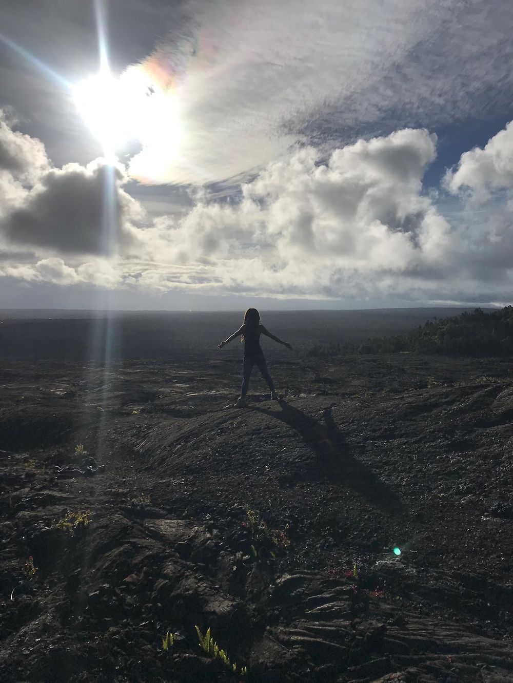 Voyage de méditation à Hawaii 