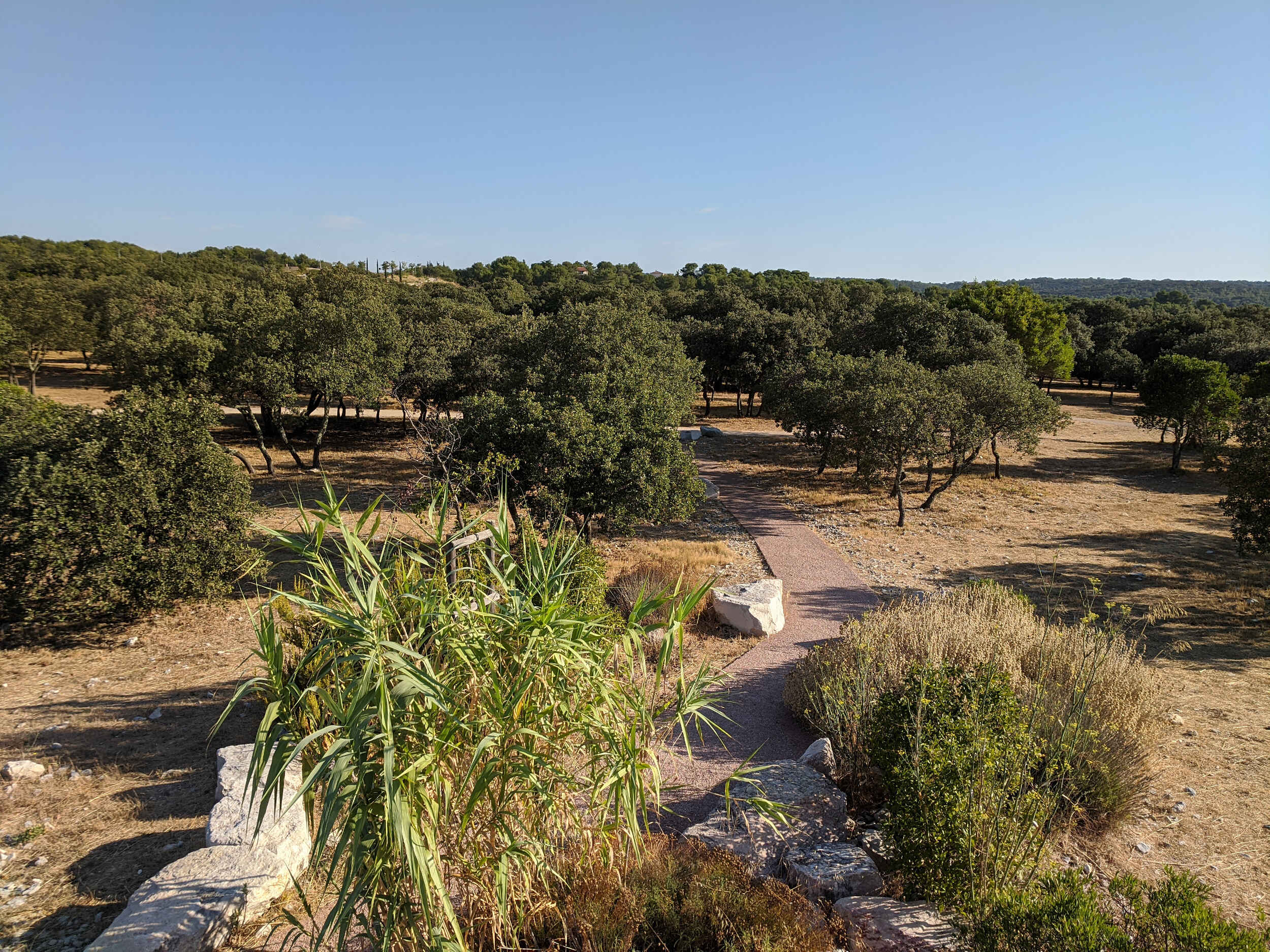Vue sur le bois des Espeisses Vue sur le bois des Espeisses