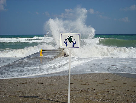 Réthymnon : touristes et tortues se partagent la plage ! Réthymnon : touristes et tortues se partagent la plage !