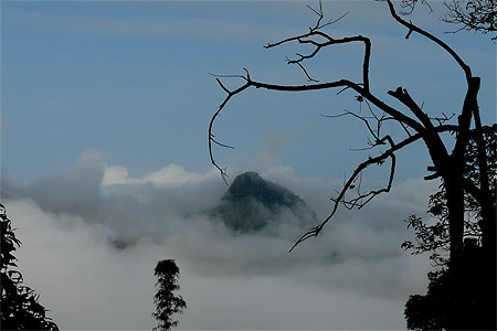 La tête dans les nuages La tête dans les nuages