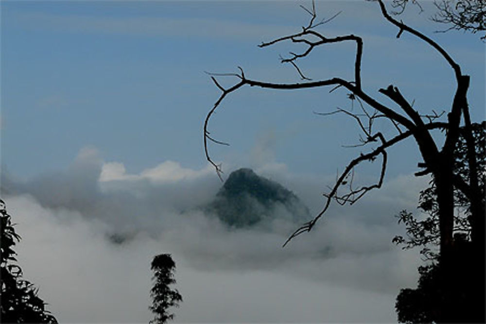 La tête dans les nuages