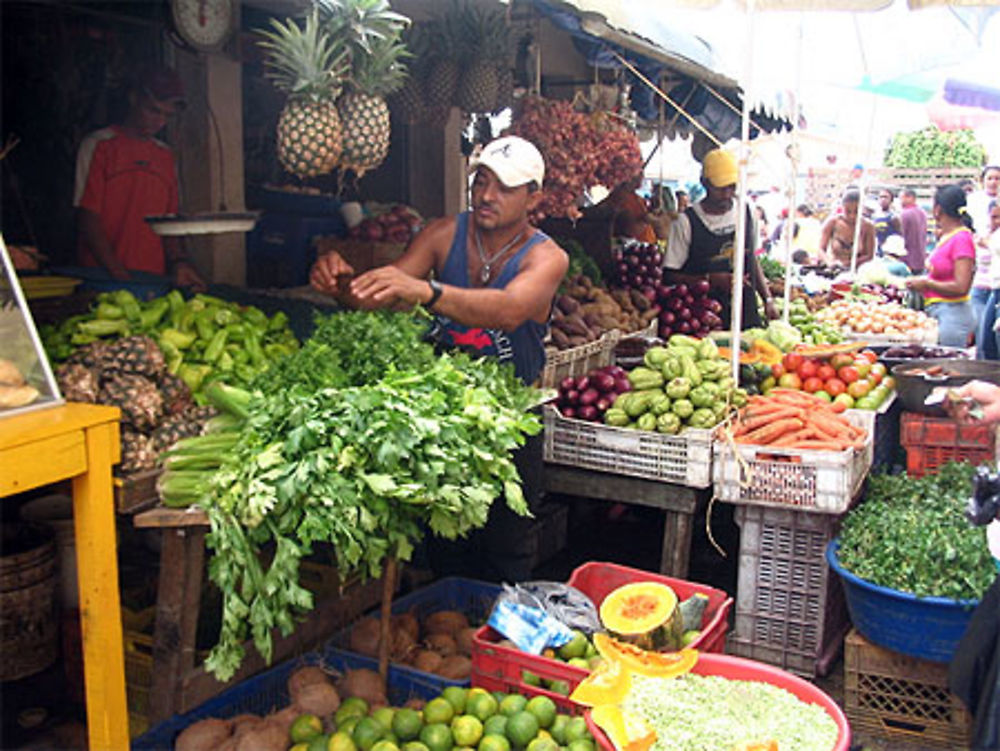 Fruits et Légumes