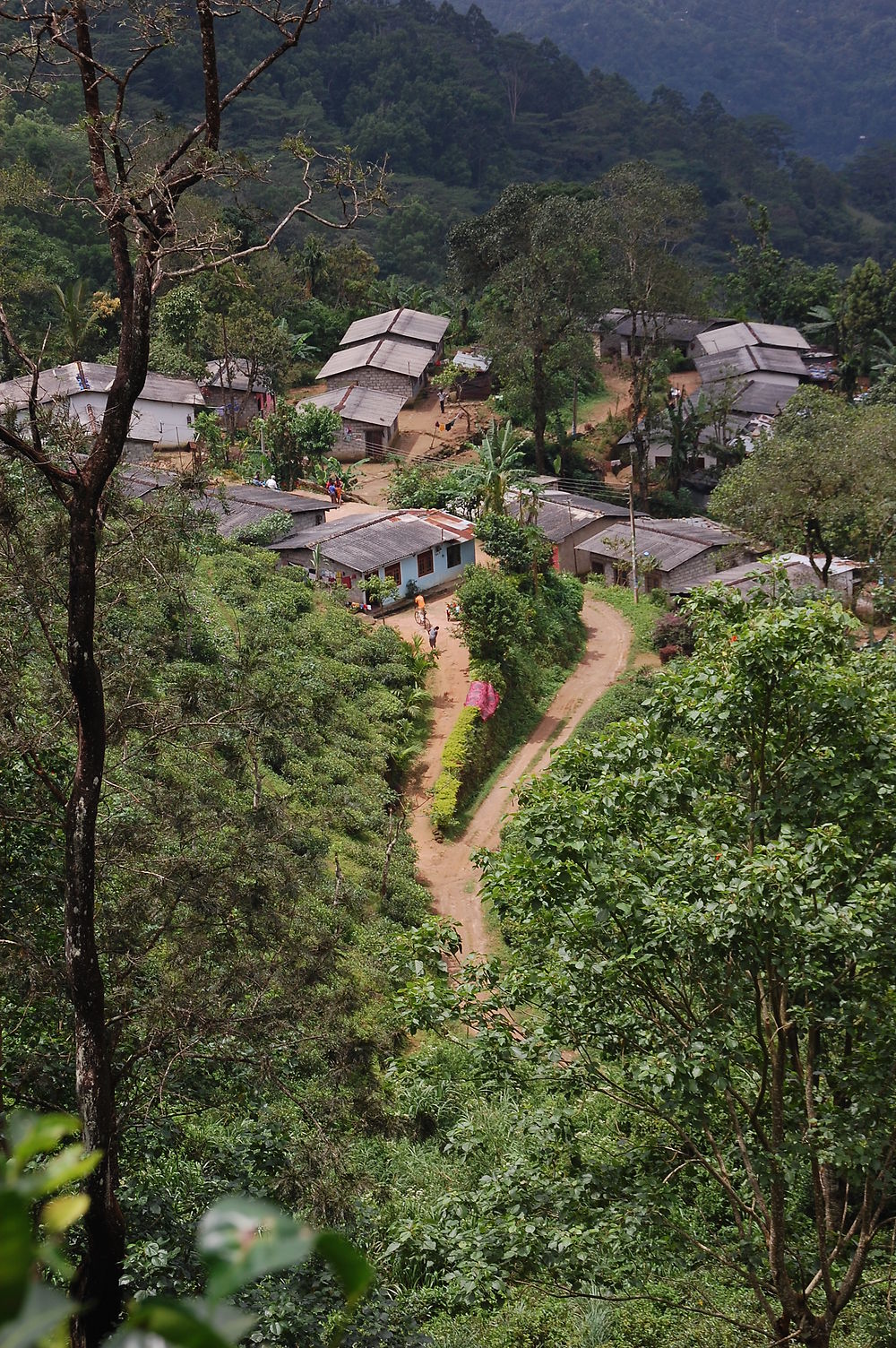 Village Knuckles Range