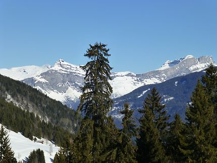 Acérés aux Comtamines-Montjoie