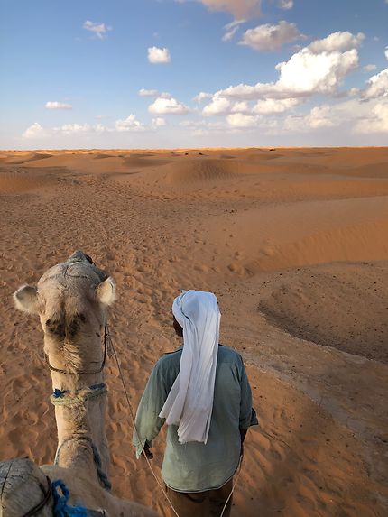 Promenade en chameau