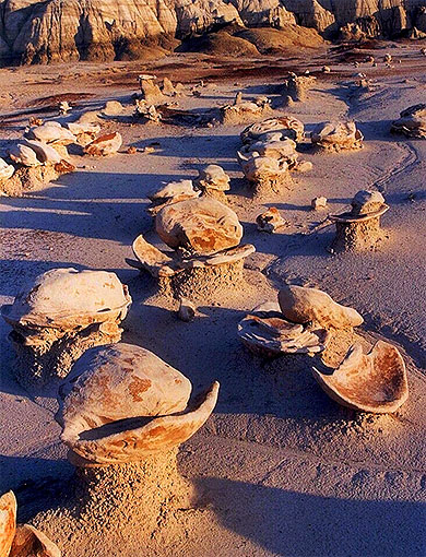 Coquillages de pierre aux Bisti Badlands Coquillages de pierre aux Bisti Badlands