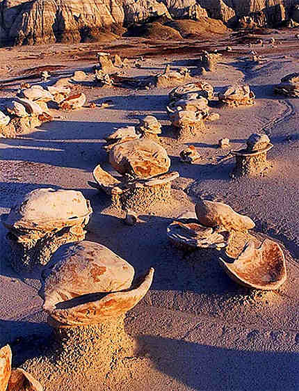 Coquillages de pierre aux Bisti Badlands