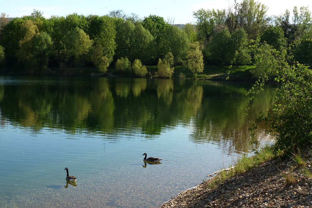 Verneuil-sur-Seine, Yvelines