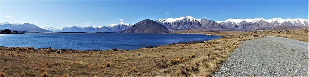 Lake Heron