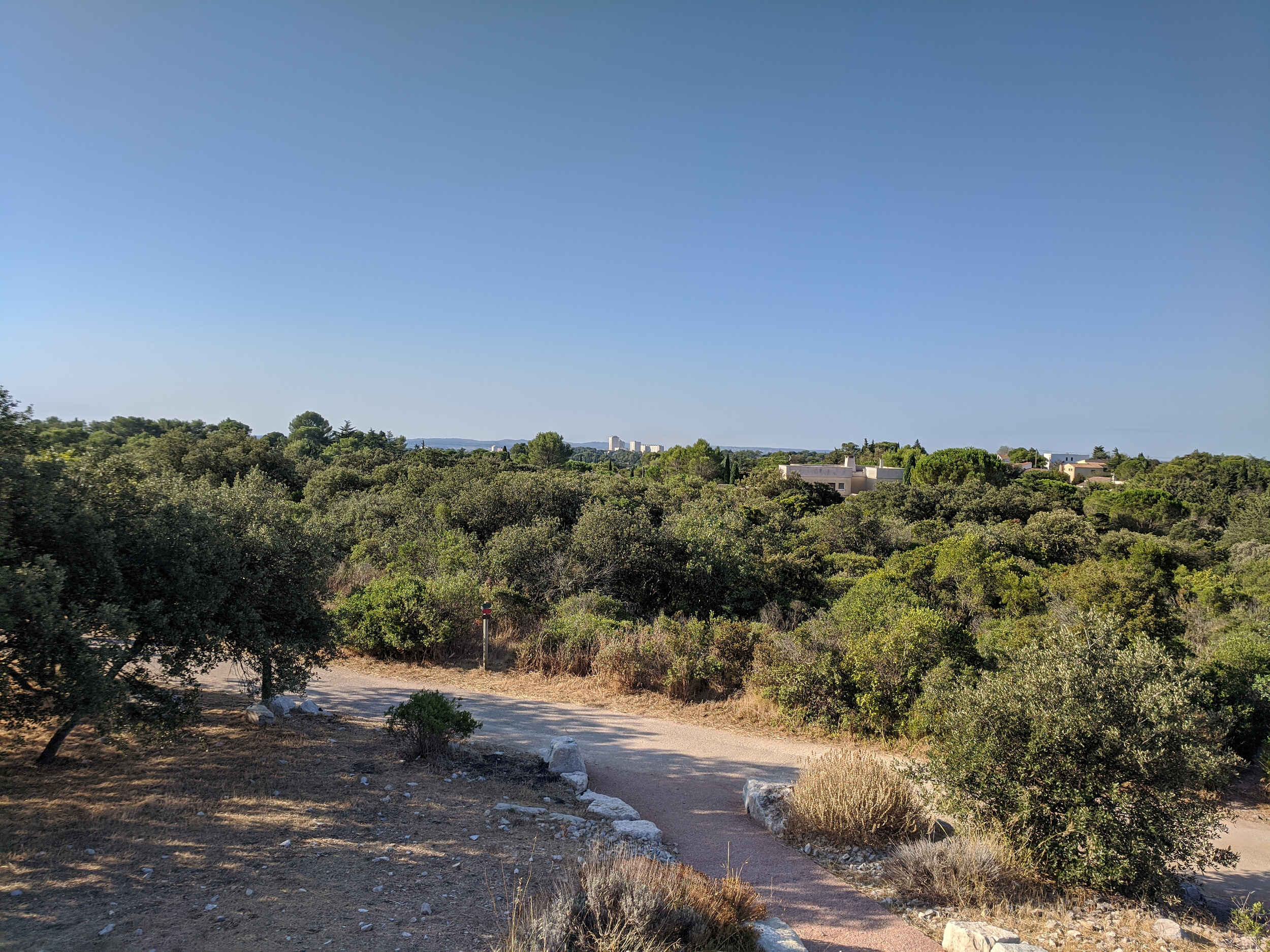 Vue sur Nimes au loin Vue sur Nimes au loin