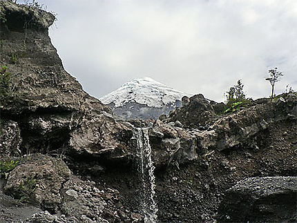 Sur les flancs du volcan Osorno
