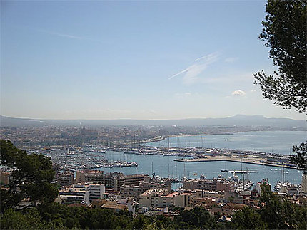 Vue sur Palma de Majorque