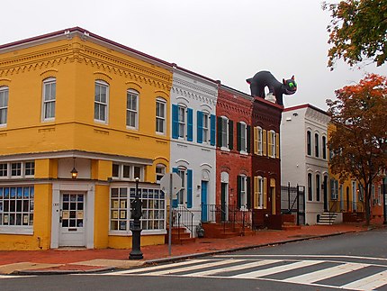 Maisons colorées à Georgetown
