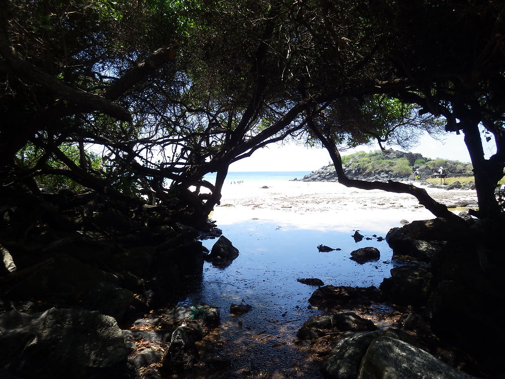 Plage de Puerto Chino