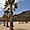 Palmiers sur la plage de Las Teresitas à Ténérife,