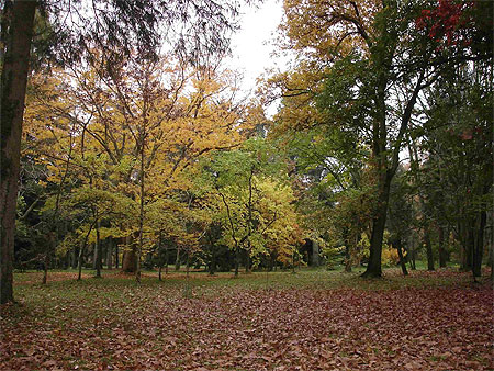 Arboretum national des Barres Arboretum national des Barres