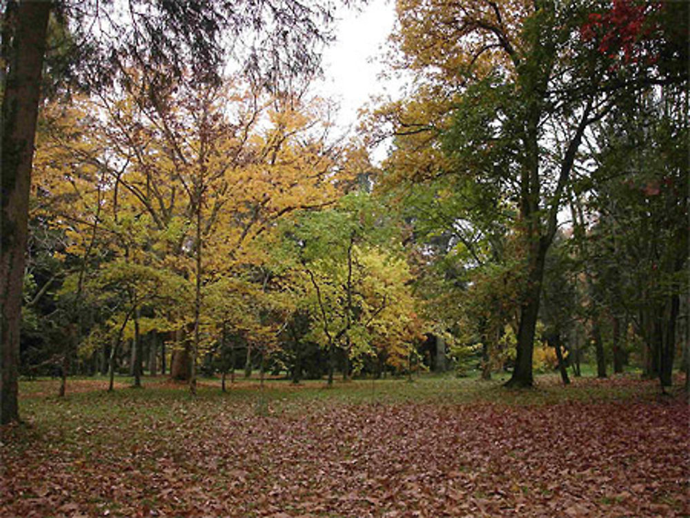 Arboretum national des Barres