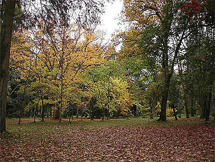 Arboretum national des Barres