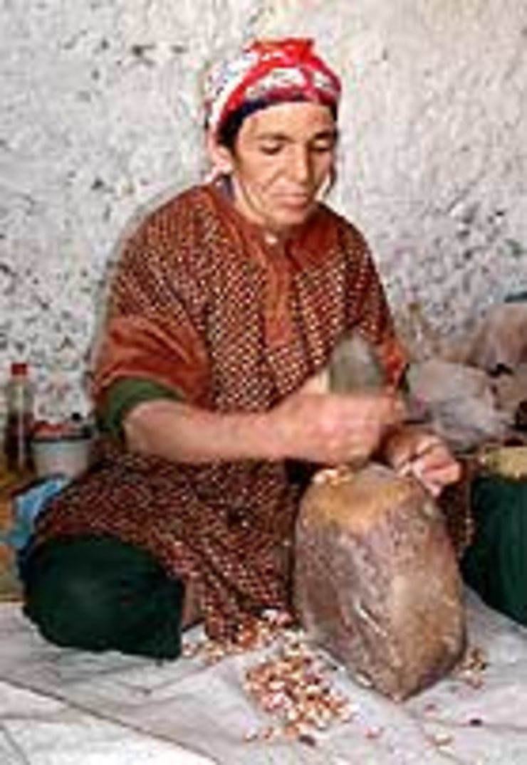L’huile magique ou l’émancipation des femmes berbères 
