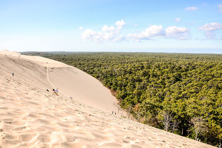 Gravir la plus haute dune d'Europe en Gironde