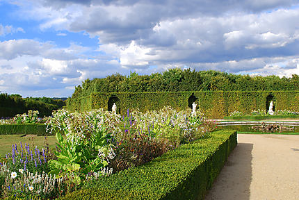 Les fleurs de Versailles