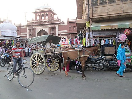 Transport local à Jodhpur