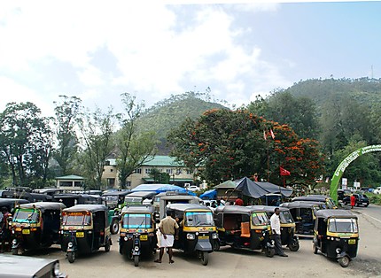 Station de rickshaws à Munnar 