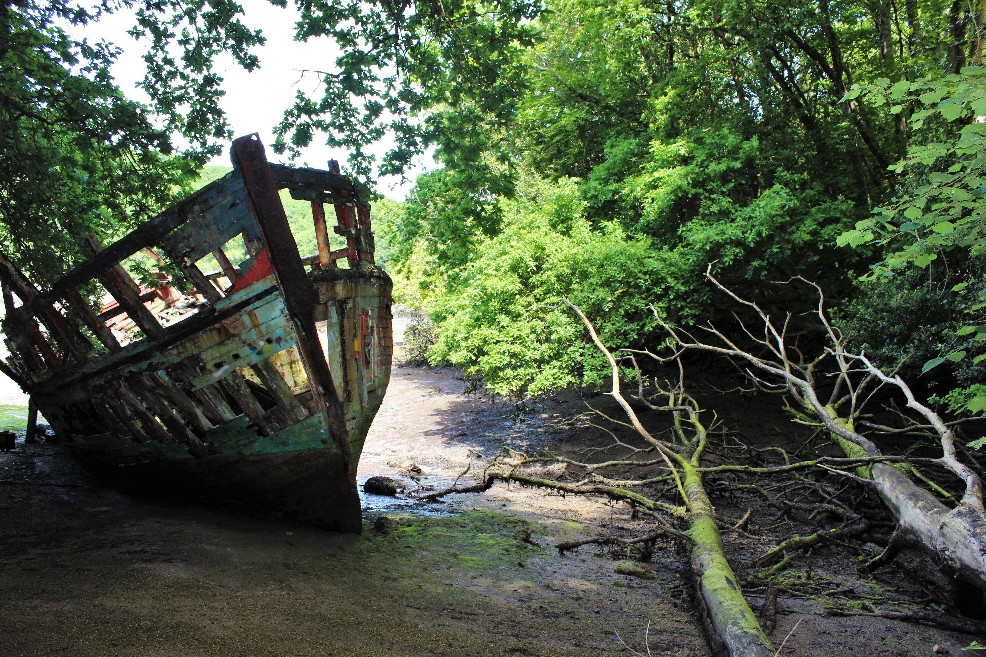 Le bois flottant Le bois flottant