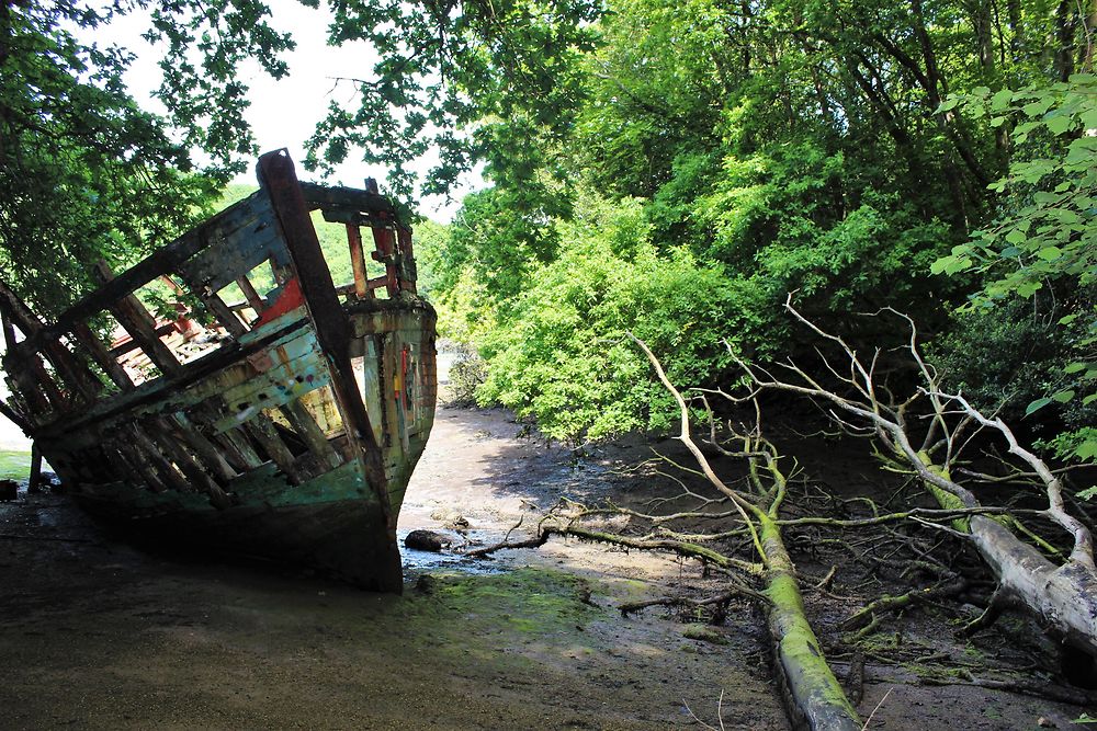 Le bois flottant