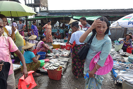 Marché au poissons de Sittwe, Birmanie