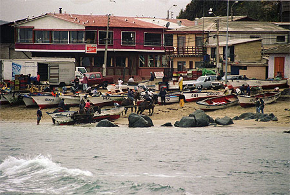 Port de pêche de Horcon