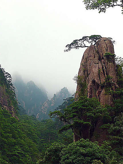 Montagnes HuangShan dans le brouillard