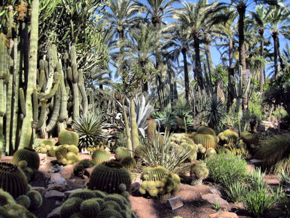 Jardin à La Manga del Mar Menor