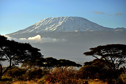 Magnifique Kilimandjaro