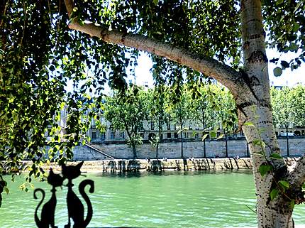 Sur les quais de la Seine