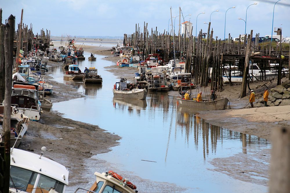 Retour de pêche port du Bec