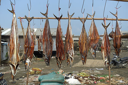 Marché au poissons de Sittwe, Birmanie