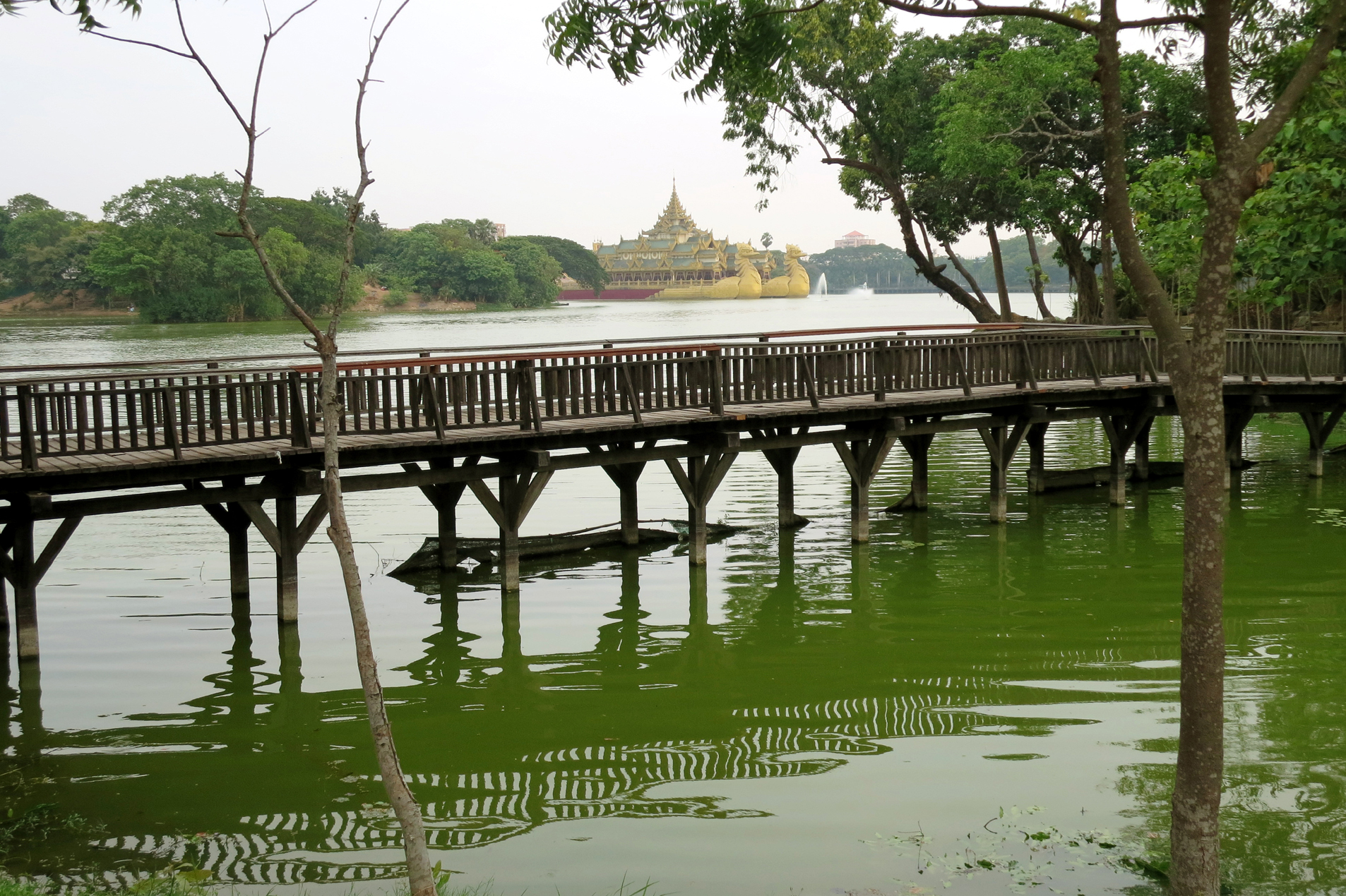 Lac Kandawgyi Lac Kandawgyi