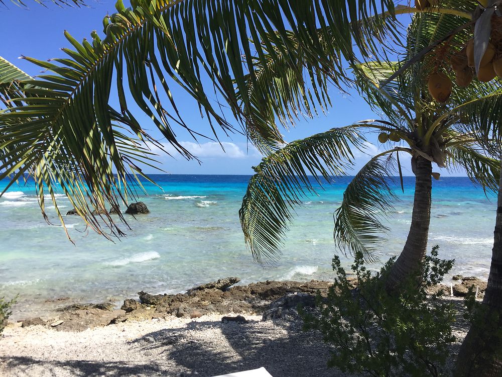 Mon petit bout de plage, seul à Avatoru