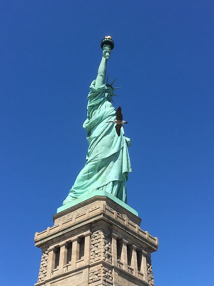 Oie du Canada devant la Statue de la Liberté