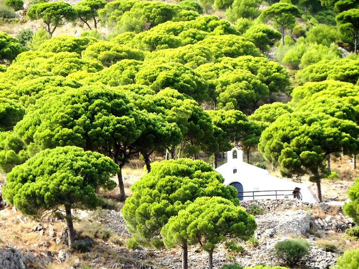 Collines verdoyantes autour de Mijas - Espagne