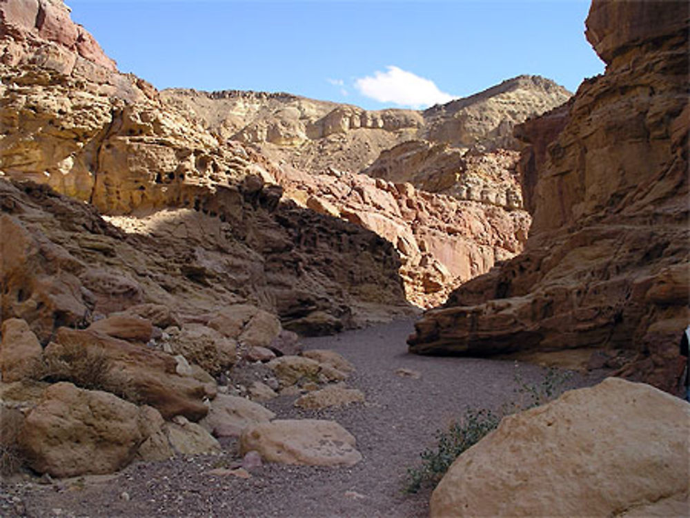 Red canyon