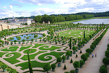 L'orangerie de Versailles