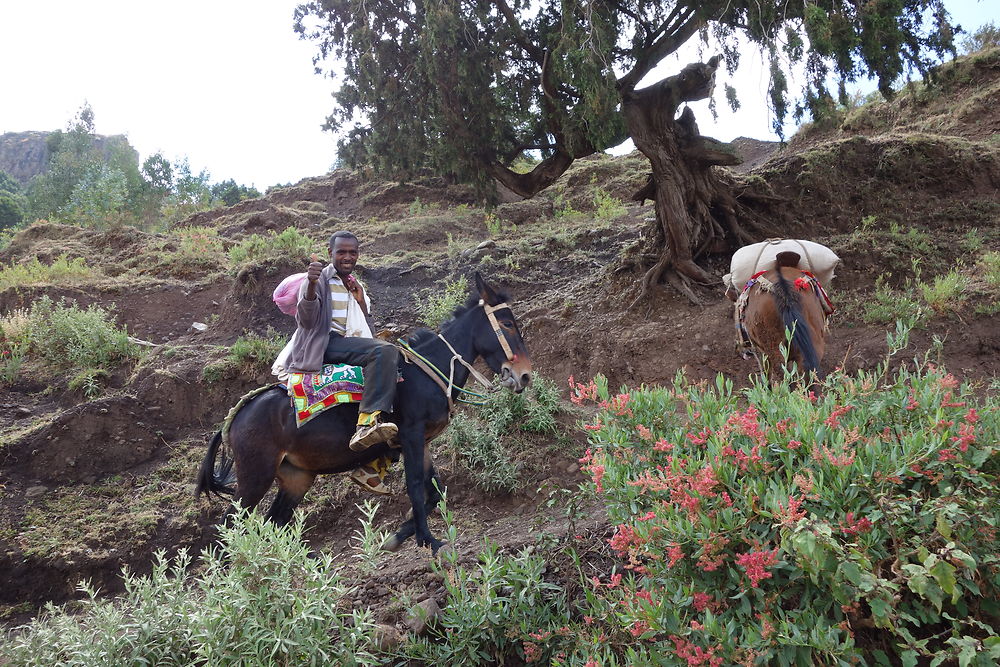 Rencontre dans la descente vers Lalibela