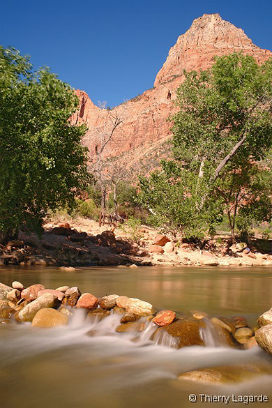 The watchman The watchman