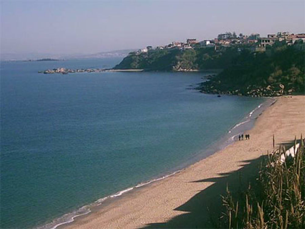 Ain Taya Plage : les Tamaris