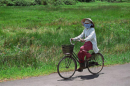 A vélo à travers les rizières