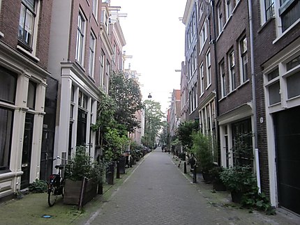 Rue verte à Amsterdam