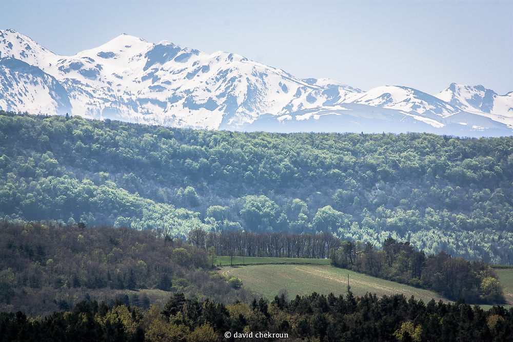 Lac de Montbel