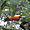 Toucan dans le parc d'Iguazu